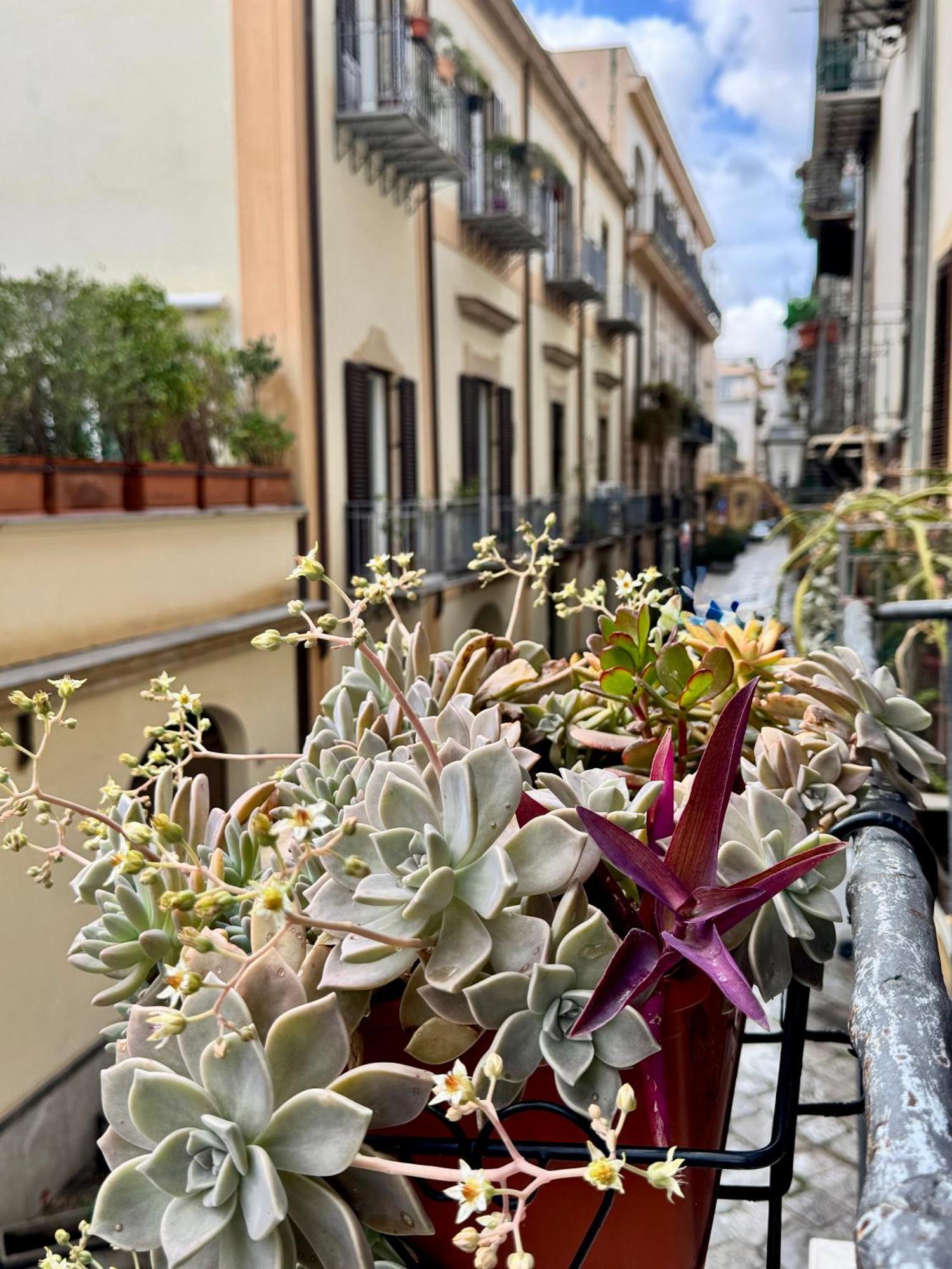 Vetriera Home Palermo Kültér fotó
